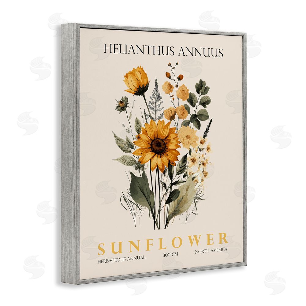 Christopher Giampietro Natural Sunflower Bundle Gray Framed Giclee Wall Art Print
