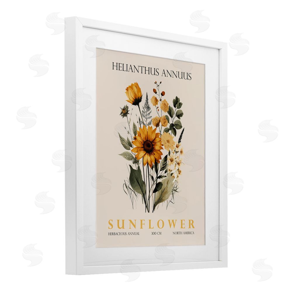 Christopher Giampietro Natural Sunflower Bundle White Framed Print Under Glass Wall Art