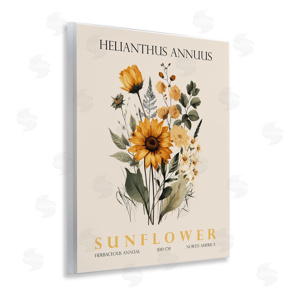 Christopher Giampietro Natural Sunflower Bundle Wall Plaque Art Print