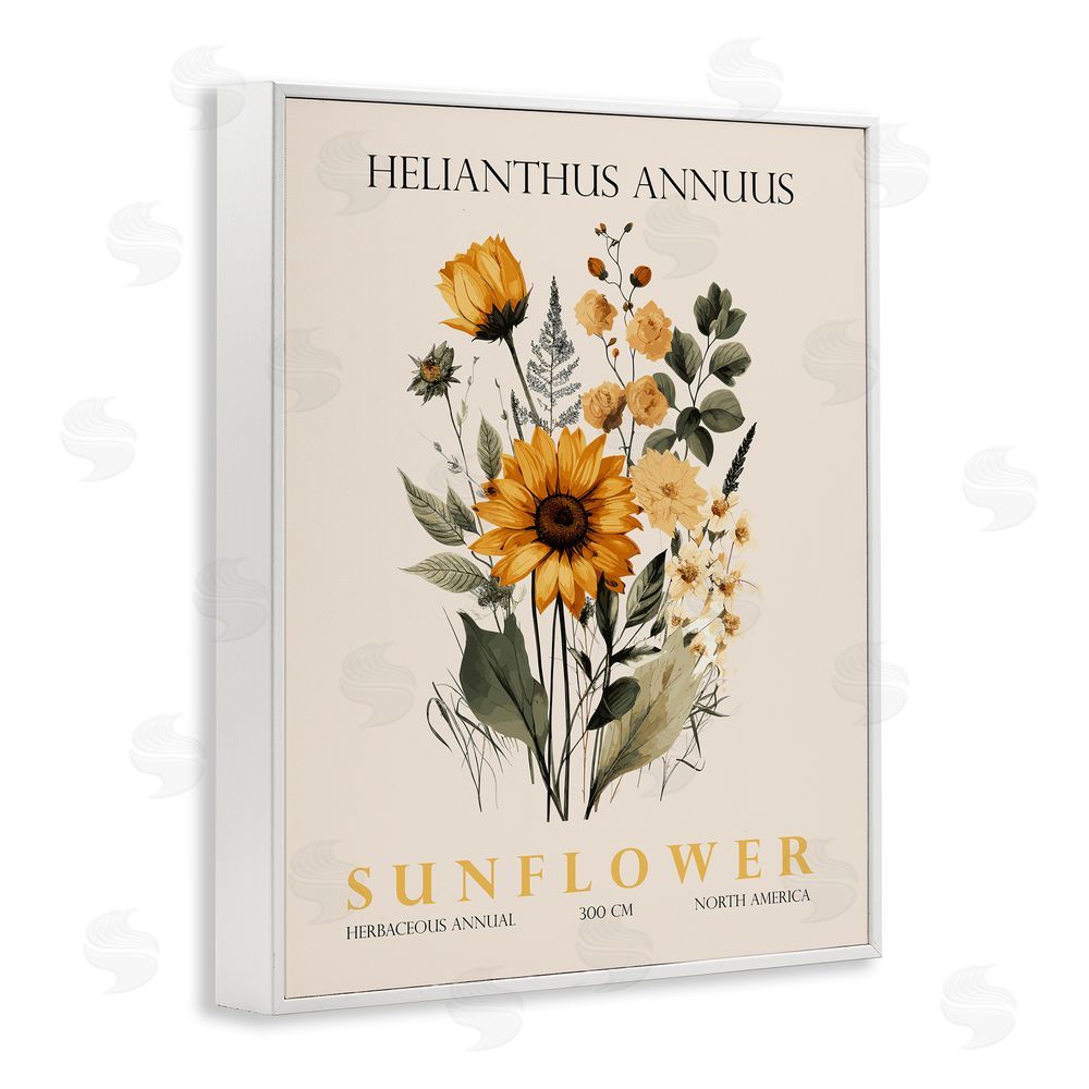 Christopher Giampietro Natural Sunflower Bundle White Framed Giclee Wall Art Print