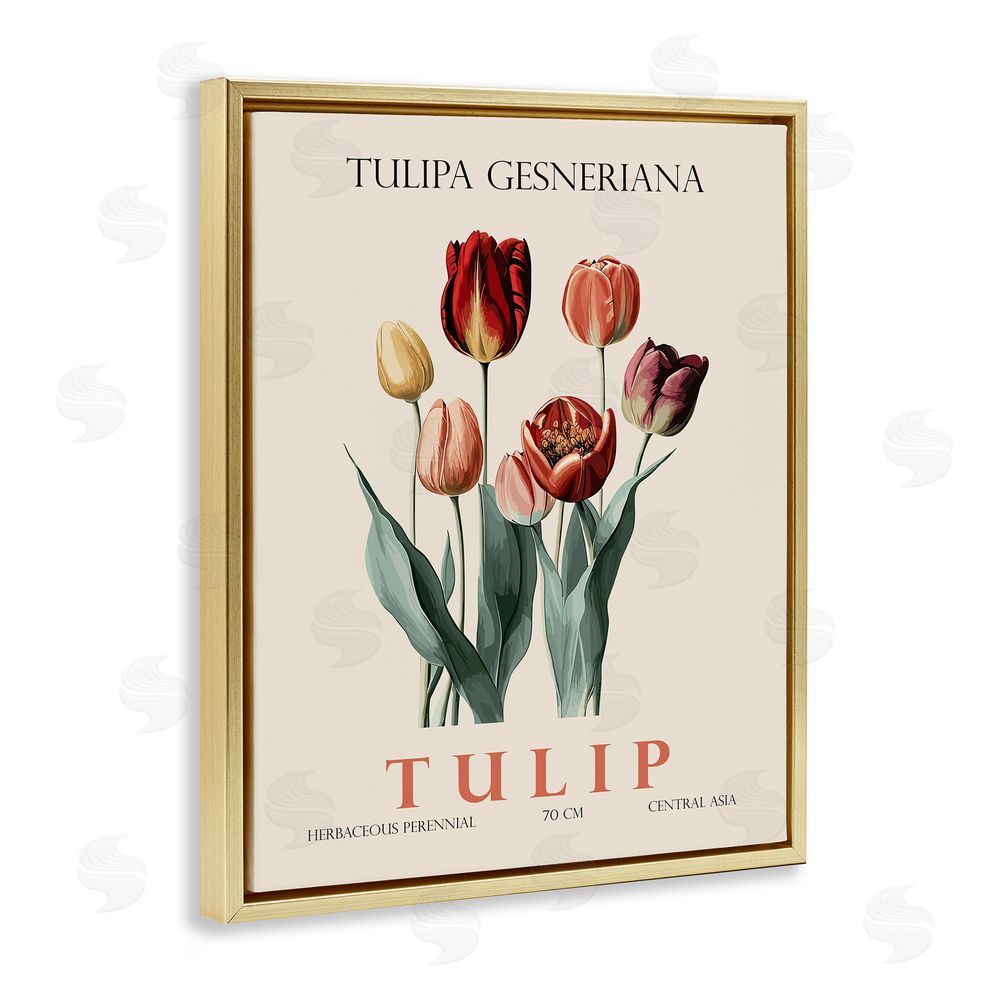 Christopher Giampietro Natural Tulip Bundle Gold Floating Frame Canvas Wall Art Print