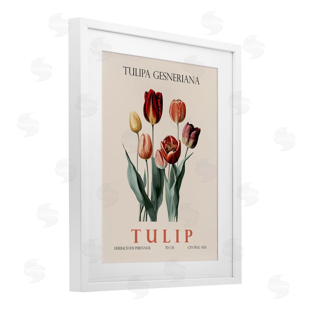 Christopher Giampietro Natural Tulip Bundle White Framed Print Under Glass Wall Art