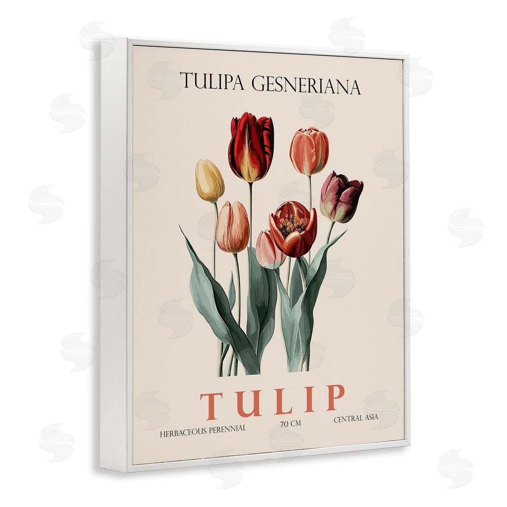 Christopher Giampietro Natural Tulip Bundle White Framed Giclee Wall Art Print