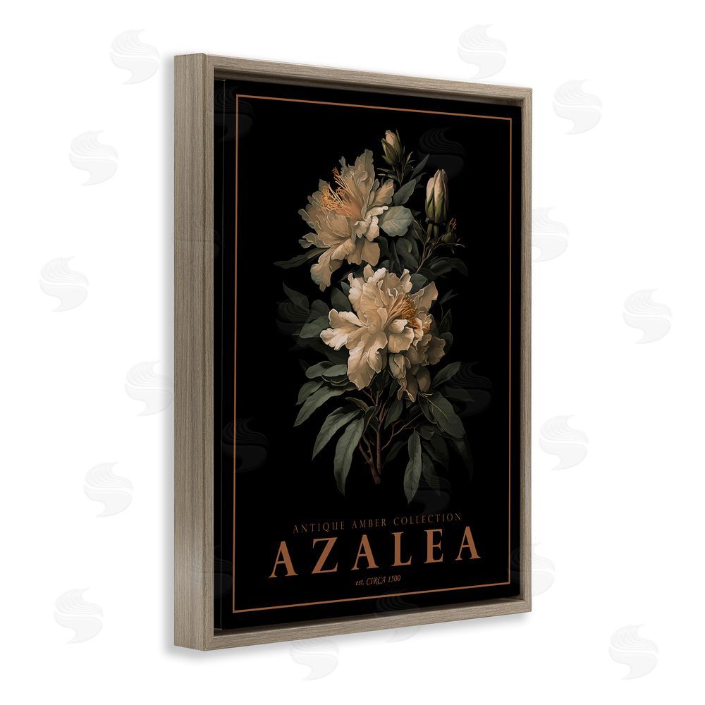 Christopher Giampietro Antique Azalea Bushel Brown Floating Frame Canvas Wall Art Print