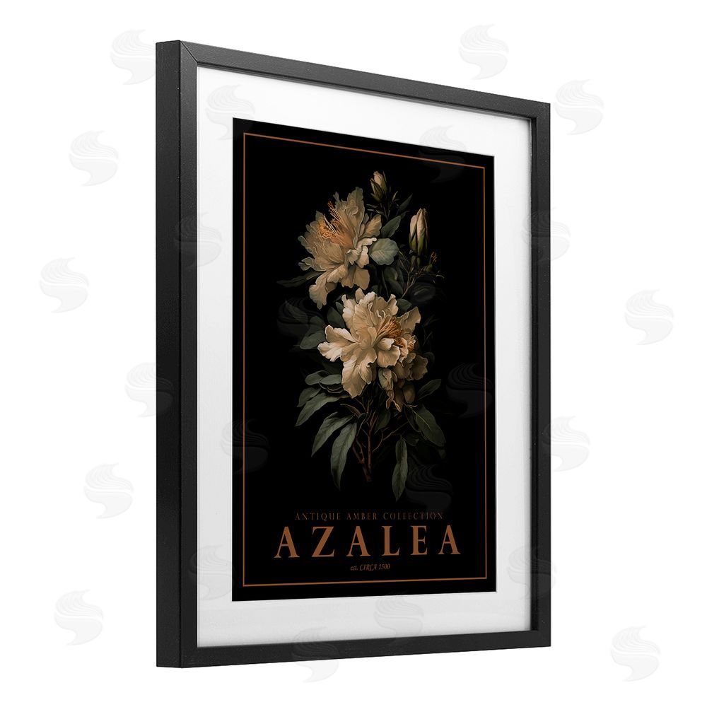 Christopher Giampietro Antique Azalea Bushel Black Framed Print Under Glass Wall Art