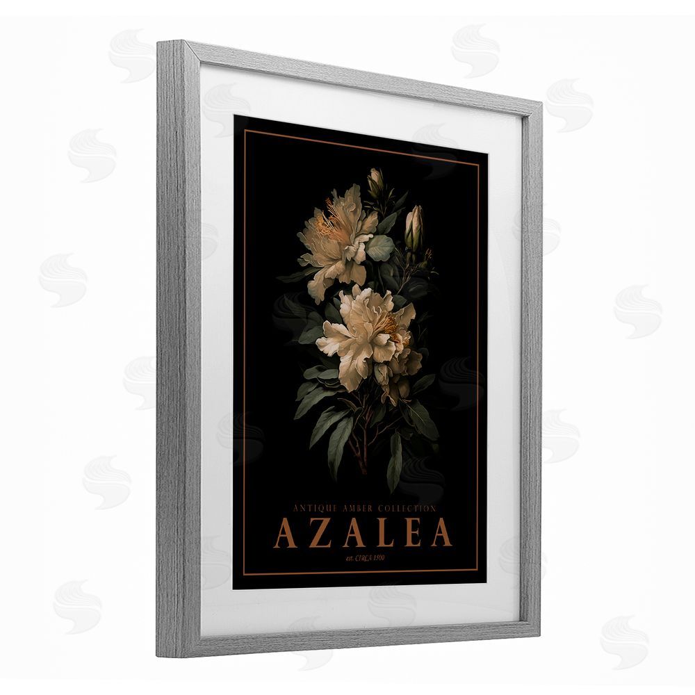 Christopher Giampietro Antique Azalea Bushel Gray Framed Print Under Glass Wall Art