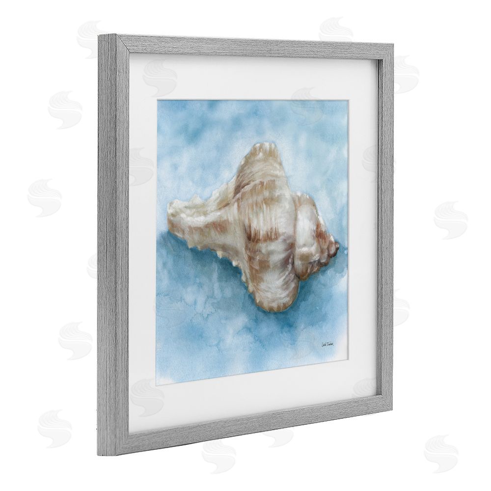 Leslie Trimbach Coastal Calm Conch Gray Framed Print Under Glass Wall Art