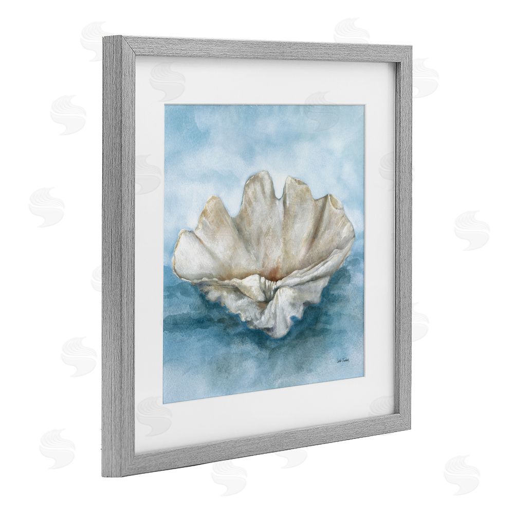 Leslie Trimbach Coastal Calm Scalloped Shell Gray Framed Print Under Glass Wall Art