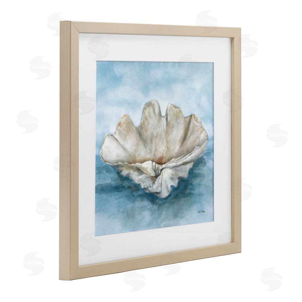 Leslie Trimbach Coastal Calm Scalloped Shell Brown Framed Print Under Glass Wall Art