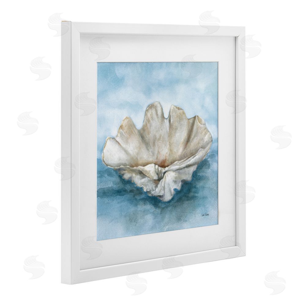 Leslie Trimbach Coastal Calm Scalloped Shell White Framed Print Under Glass Wall Art