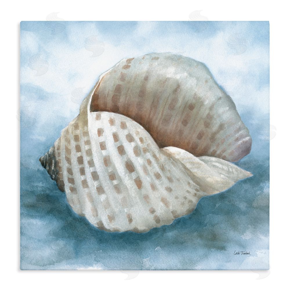 Leslie Trimbach Coastal Calm Spotted Shell Stretched Canvas Wall Art Print