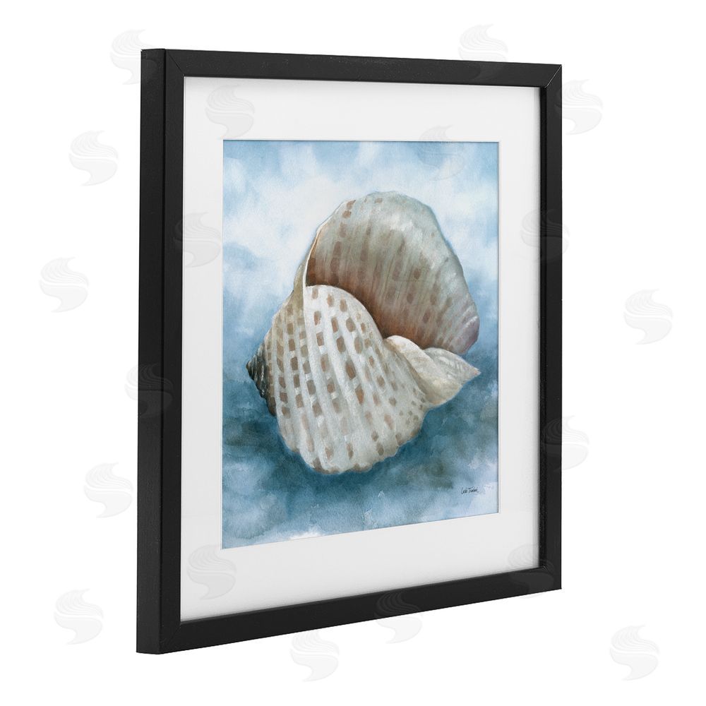 Leslie Trimbach Coastal Calm Spotted Shell Black Framed Print Under Glass Wall Art