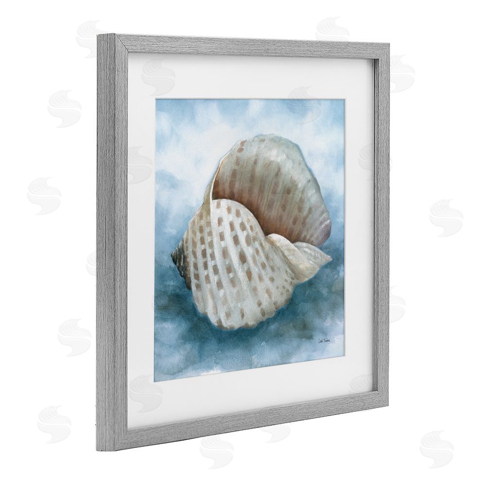Leslie Trimbach Coastal Calm Spotted Shell Gray Framed Print Under Glass Wall Art