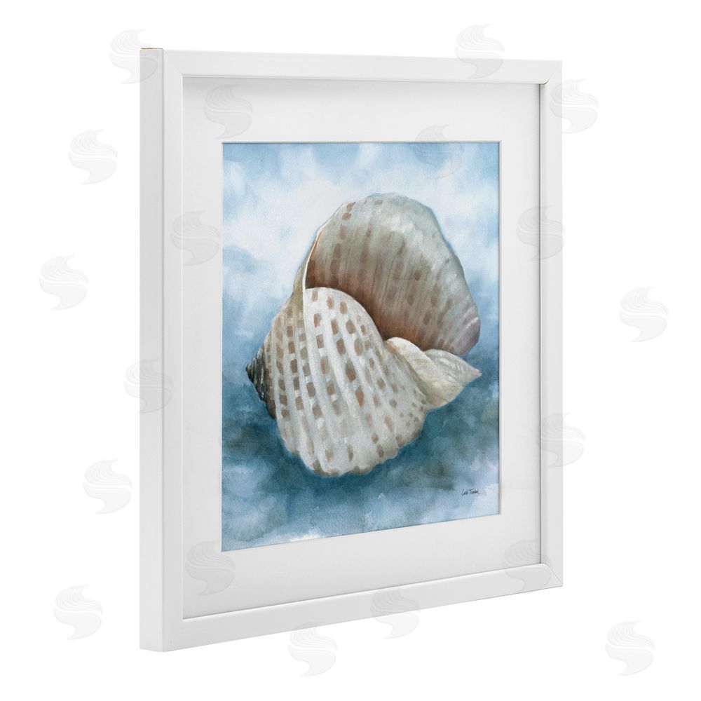 Leslie Trimbach Coastal Calm Spotted Shell White Framed Print Under Glass Wall Art