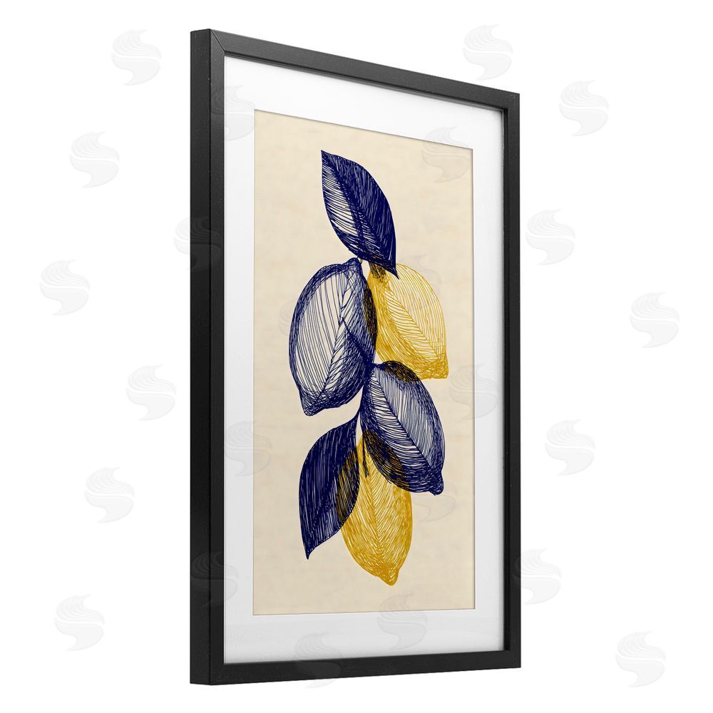 Petal Prints Design Navy Lemons Botanical Sketch Black Framed Print Under Glass Wall Art