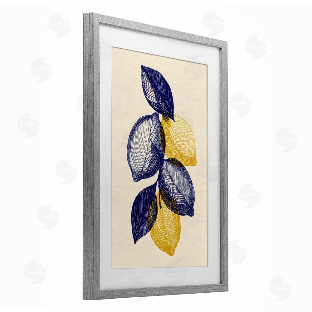 Petal Prints Design Navy Lemons Botanical Sketch Gray Framed Print Under Glass Wall Art
