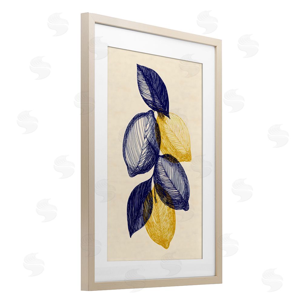 Petal Prints Design Navy Lemons Botanical Sketch Brown Framed Print Under Glass Wall Art