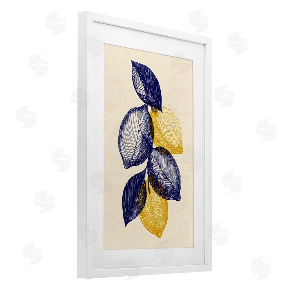 Petal Prints Design Navy Lemons Botanical Sketch White Framed Print Under Glass Wall Art