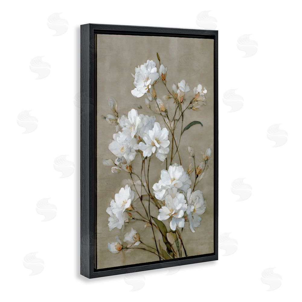 Petal Prints Design Aged White Botanical Study Black Floating Frame Stretched Canvas Wall Art Print