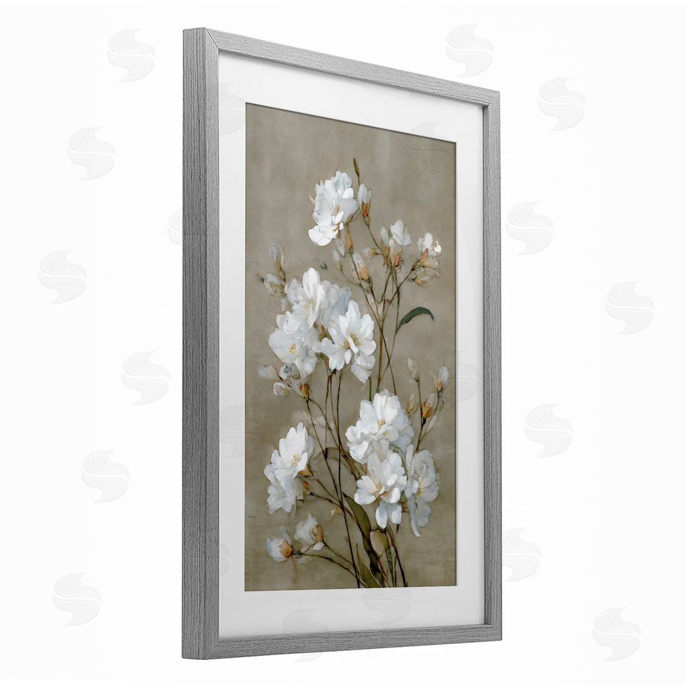 Petal Prints Design Aged White Botanical Study Gray Framed Print Under Glass with Matting Wall Art