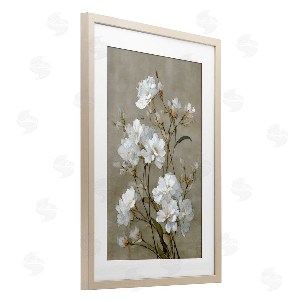 Petal Prints Design Aged White Botanical Study Brown Framed Print Under Glass with Matting Wall Art