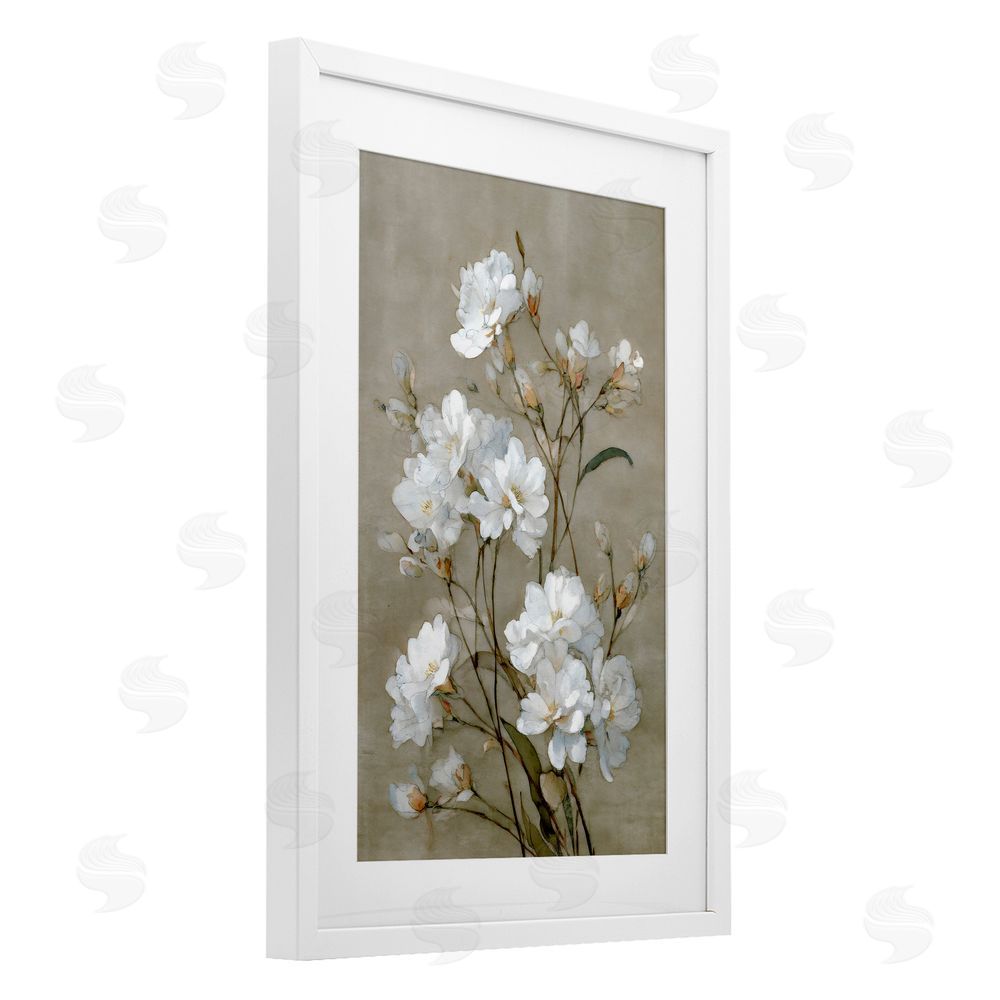Petal Prints Design Aged White Botanical Study White Framed Print Under Glass with Matting Wall Art