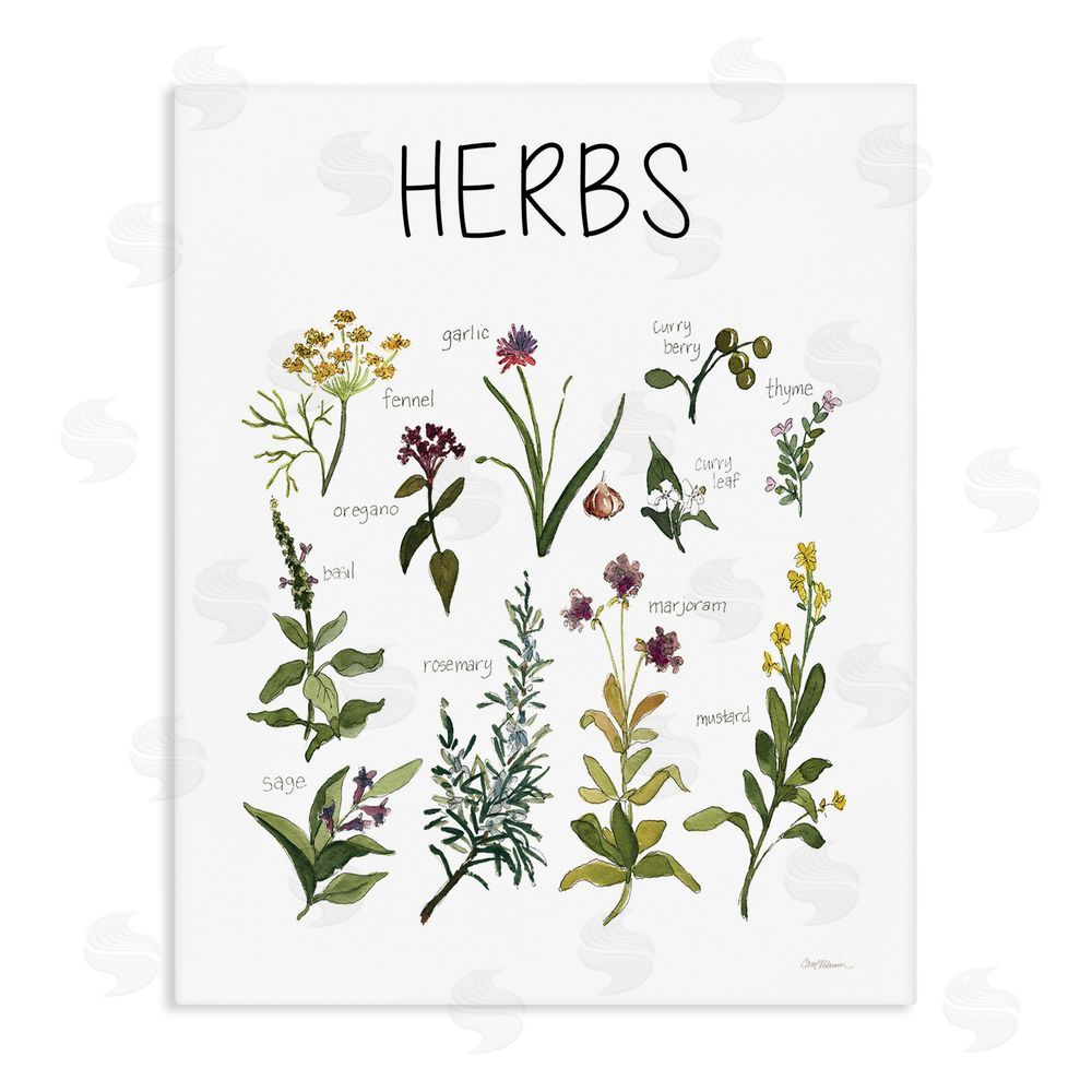 Carol Robinson Herbs Identification Chart Stretched Canvas Wall Art Print