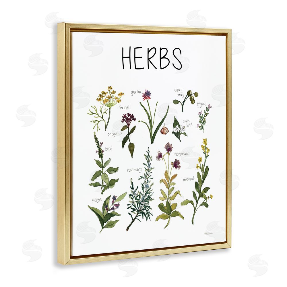 Carol Robinson Herbs Identification Chart Gold Floating Frame Canvas Wall Art Print