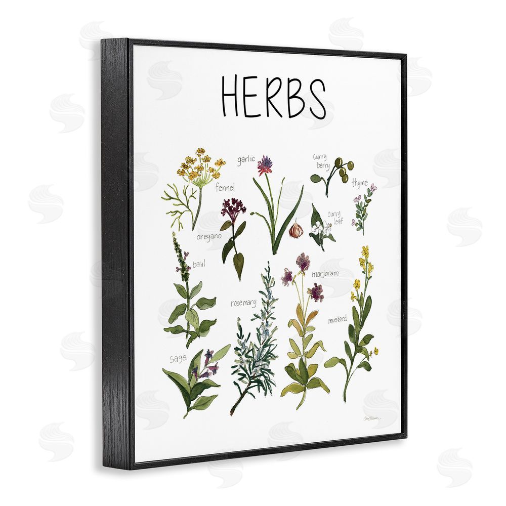 Carol Robinson Herbs Identification Chart Black Framed Giclee Wall Art Print