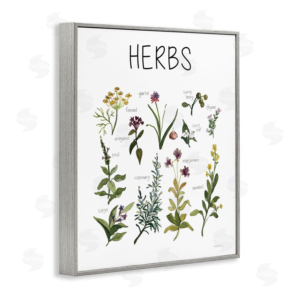 Carol Robinson Herbs Identification Chart Gray Framed Giclee Wall Art Print