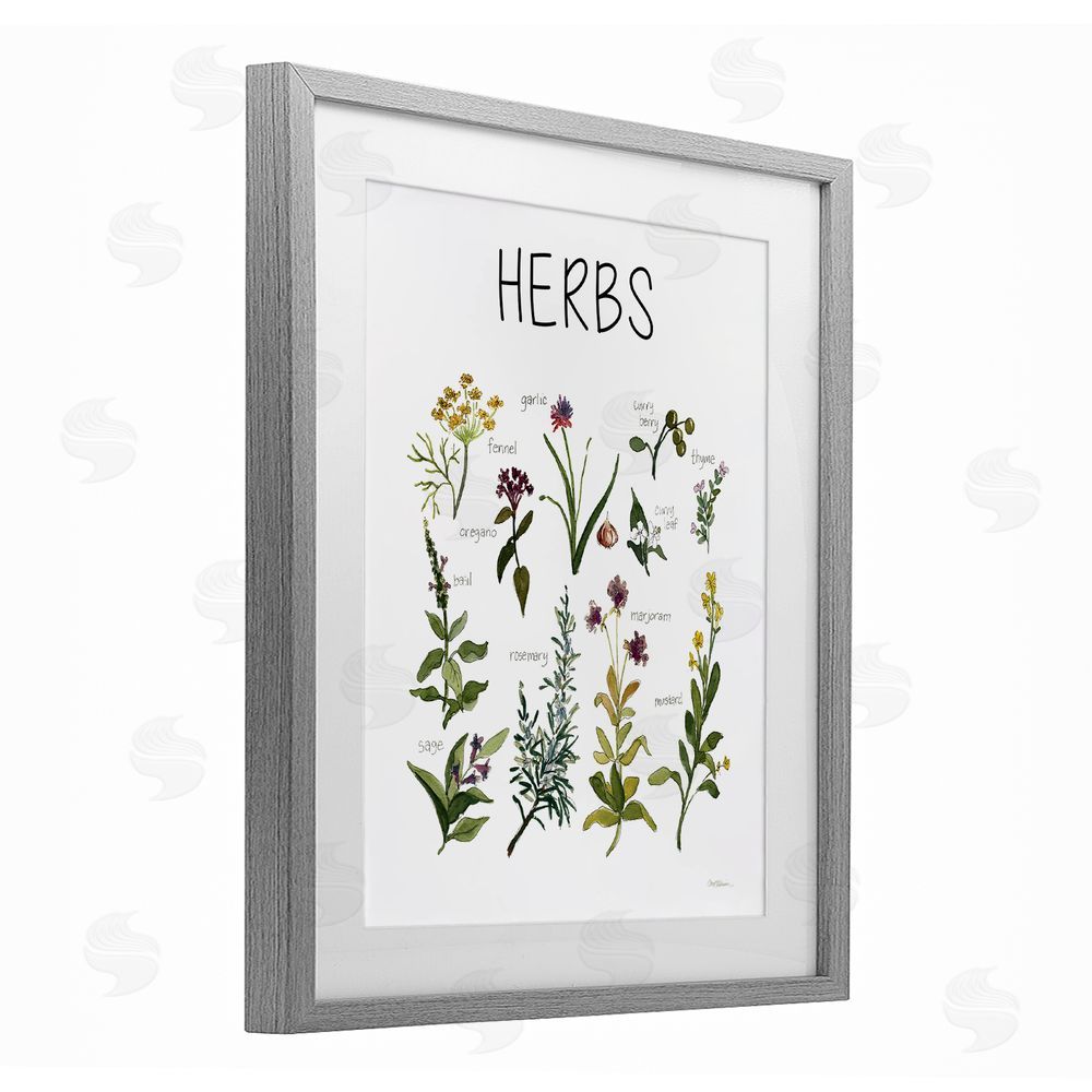 Carol Robinson Herbs Identification Chart Gray Framed Print Under Glass Wall Art