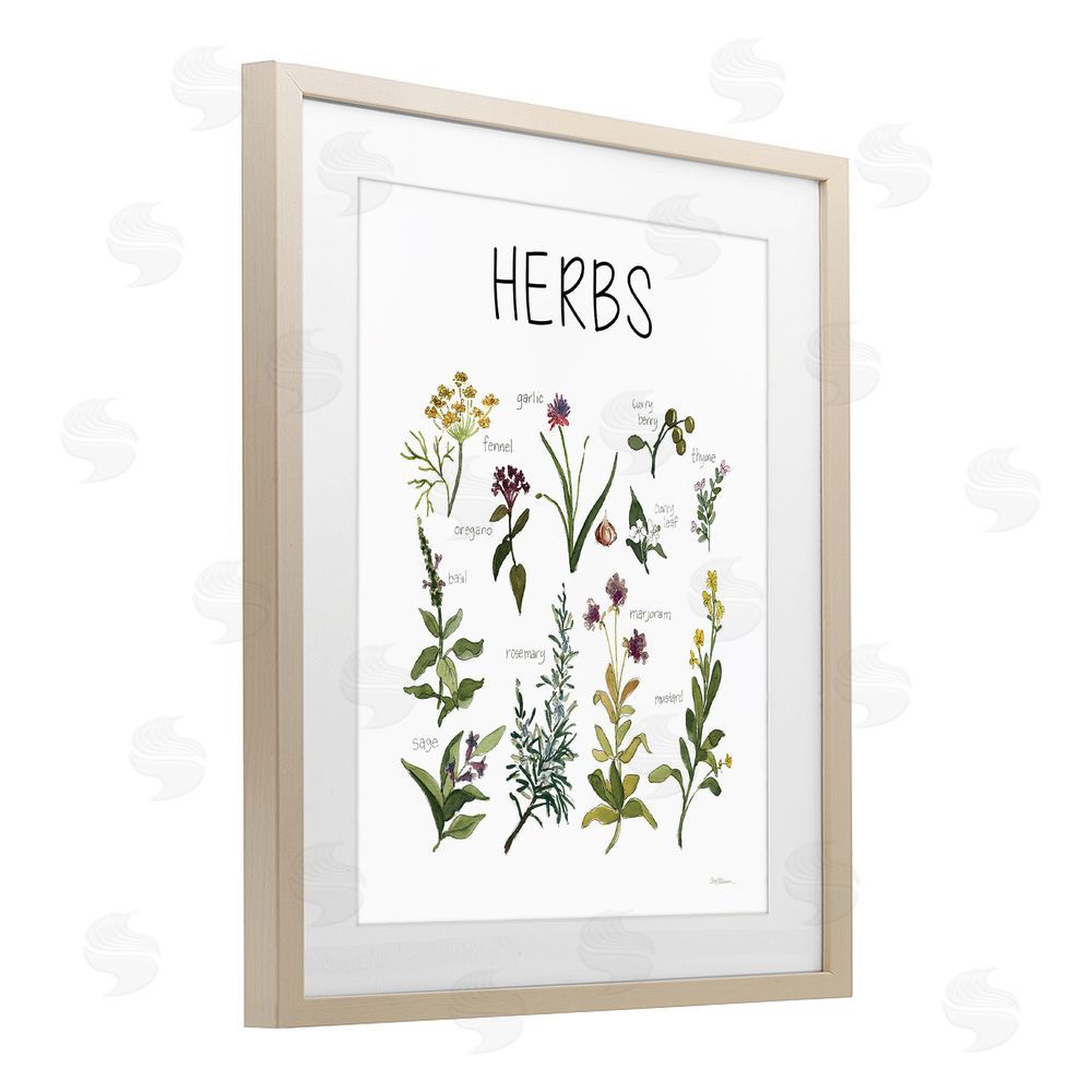 Carol Robinson Herbs Identification Chart Brown Framed Print Under Glass Wall Art