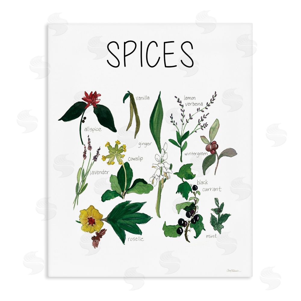 Carol Robinson Spices Identification Chart Stretched Canvas Wall Art Print