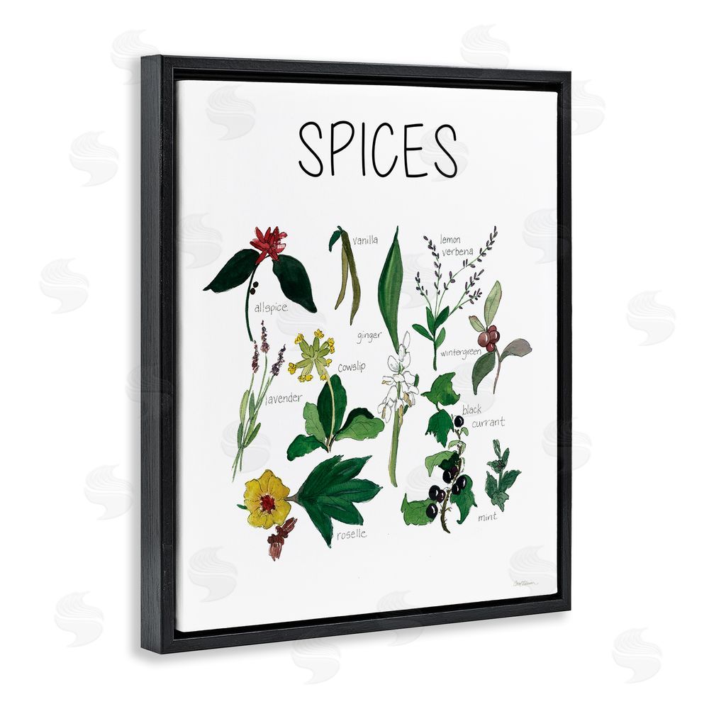 Carol Robinson Spices Identification Chart Black Floating Frame Canvas Wall Art Print