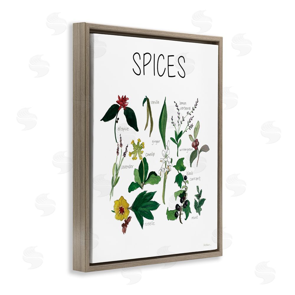 Carol Robinson Spices Identification Chart Brown Floating Frame Canvas Wall Art Print