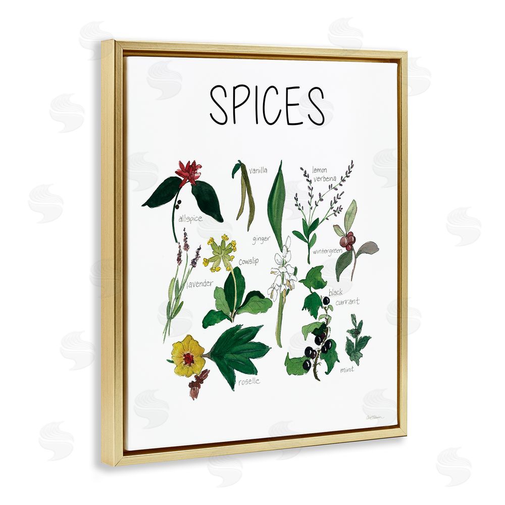 Carol Robinson Spices Identification Chart Gold Floating Frame Canvas Wall Art Print