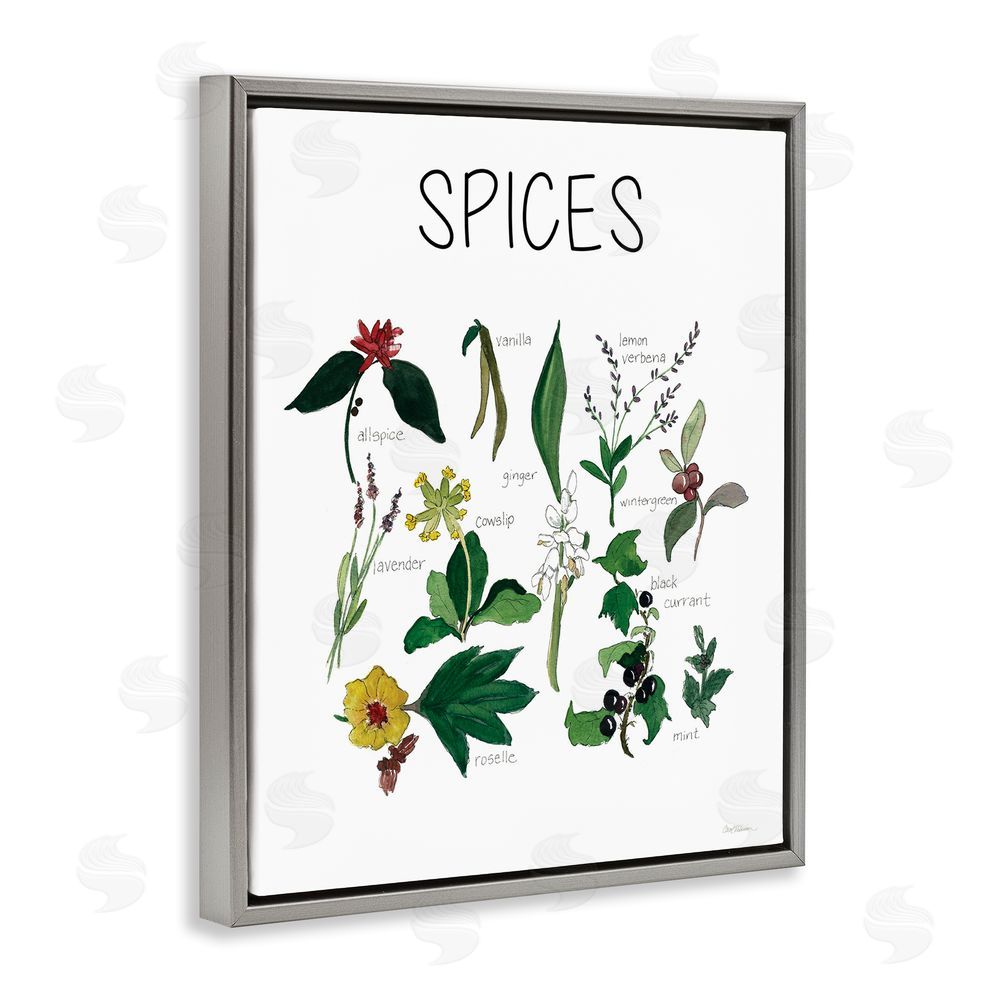 Carol Robinson Spices Identification Chart Gray Floating Frame Canvas Wall Art Print