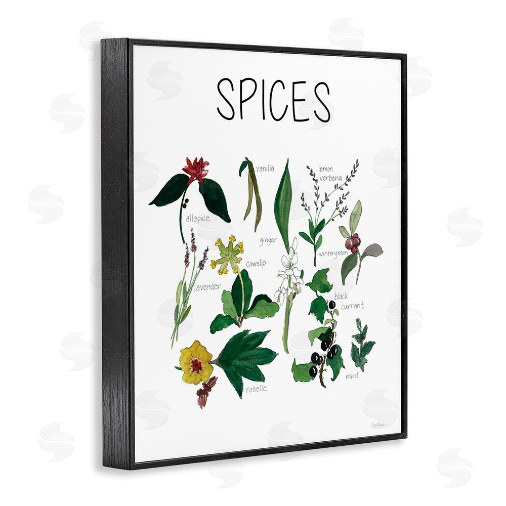 Carol Robinson Spices Identification Chart Black Framed Giclee Wall Art Print