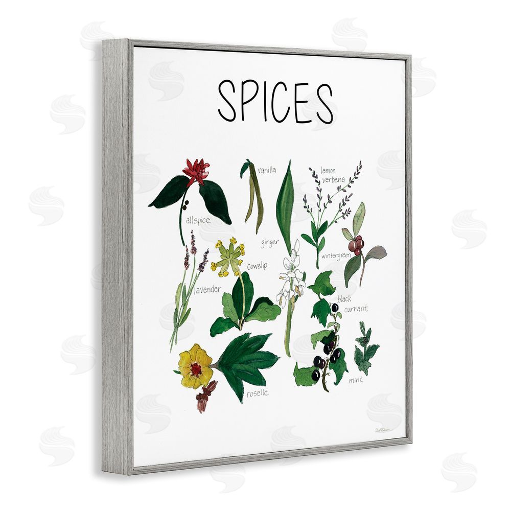 Carol Robinson Spices Identification Chart Gray Framed Giclee Wall Art Print