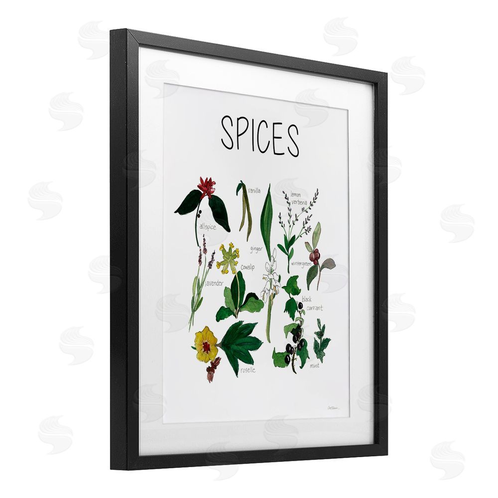 Carol Robinson Spices Identification Chart Black Framed Print Under Glass Wall Art