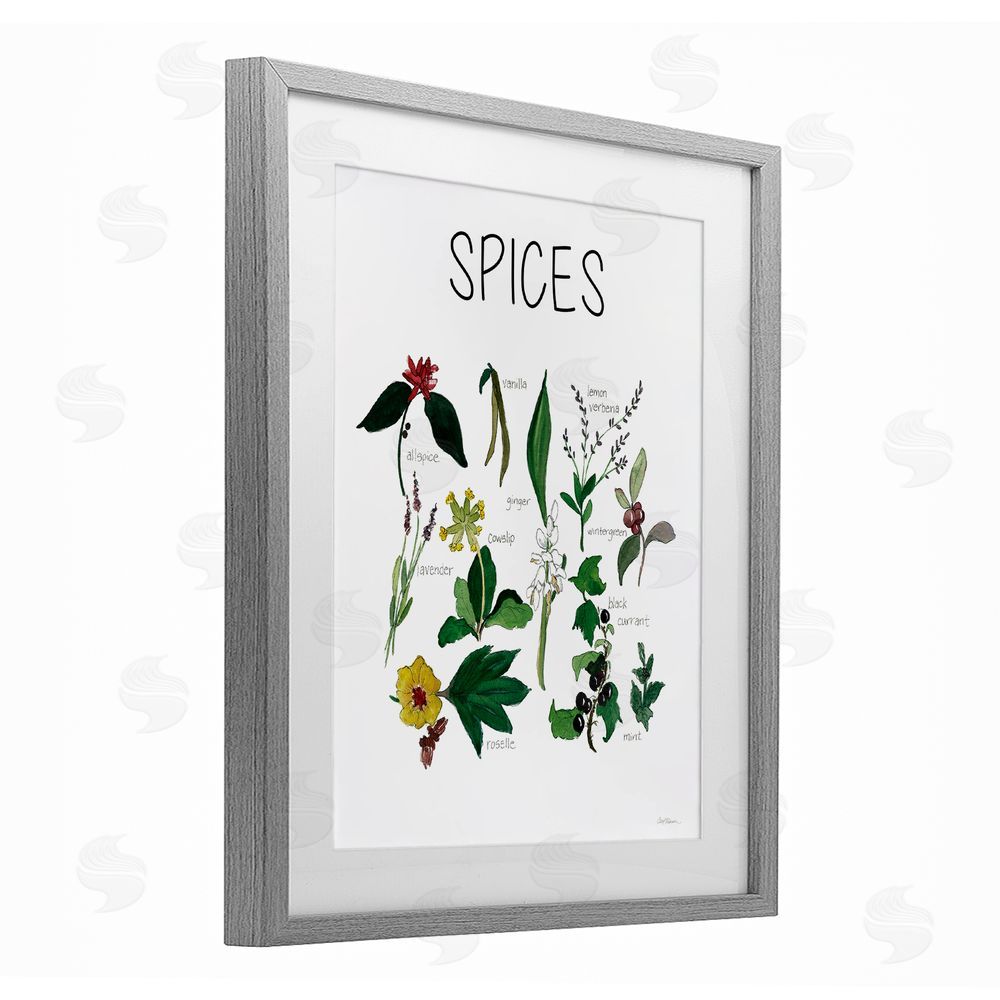 Carol Robinson Spices Identification Chart Gray Framed Print Under Glass Wall Art