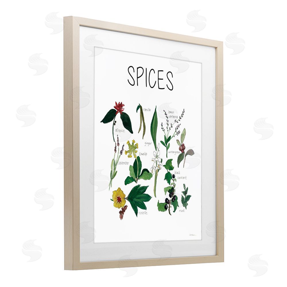 Carol Robinson Spices Identification Chart Brown Framed Print Under Glass Wall Art