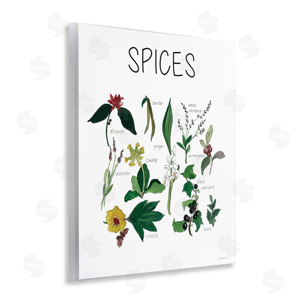 Carol Robinson Spices Identification Chart Wooden Wall Plaque Art Print