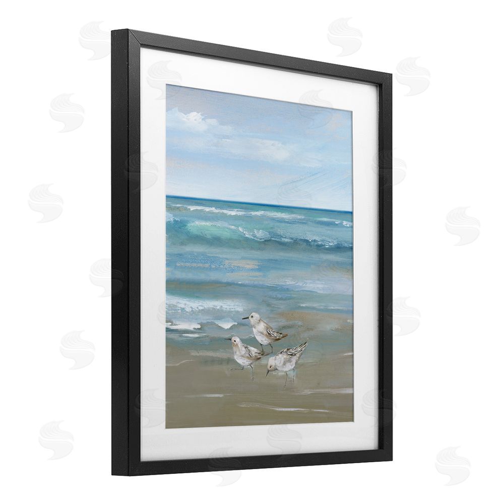 Nan Sanderlings on Gentle Waves Black Framed Print Under Glass Wall Art