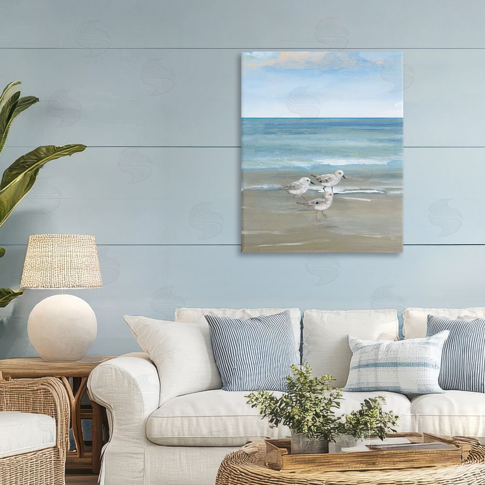 Nan Three Shorebirds & Gentle Waves