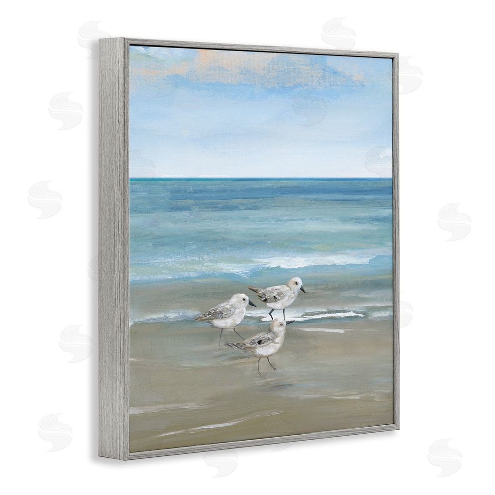 Nan Three Shorebirds & Gentle Waves Gray Framed Giclee Wall Art Print