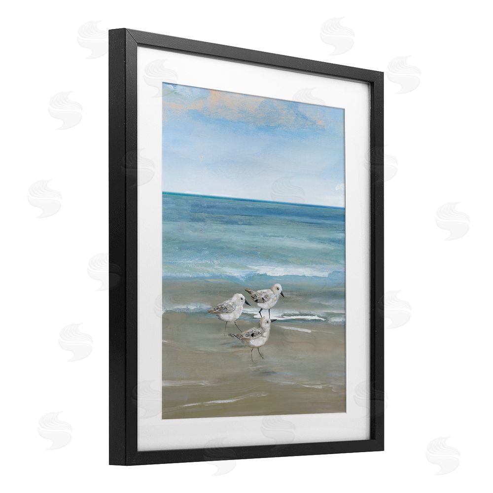 Nan Three Shorebirds & Gentle Waves Black Framed Print Under Glass Wall Art