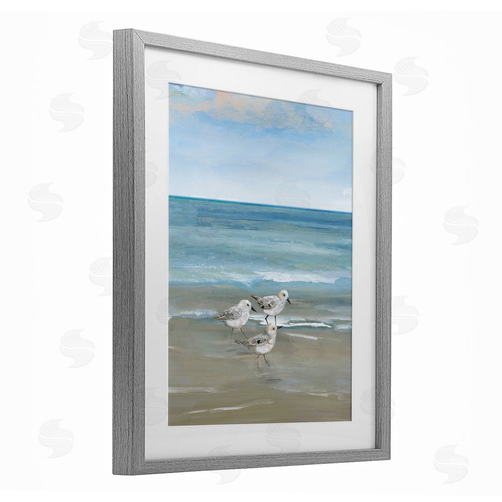 Nan Three Shorebirds & Gentle Waves Gray Framed Print Under Glass Wall Art