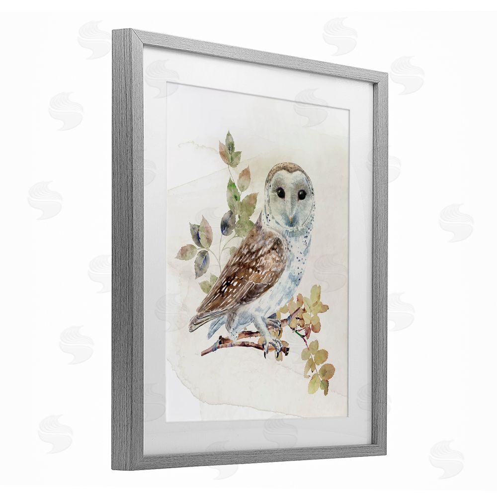CAD Designs Owl Among Autumn Leaves Gray Framed Print Under Glass Wall Art