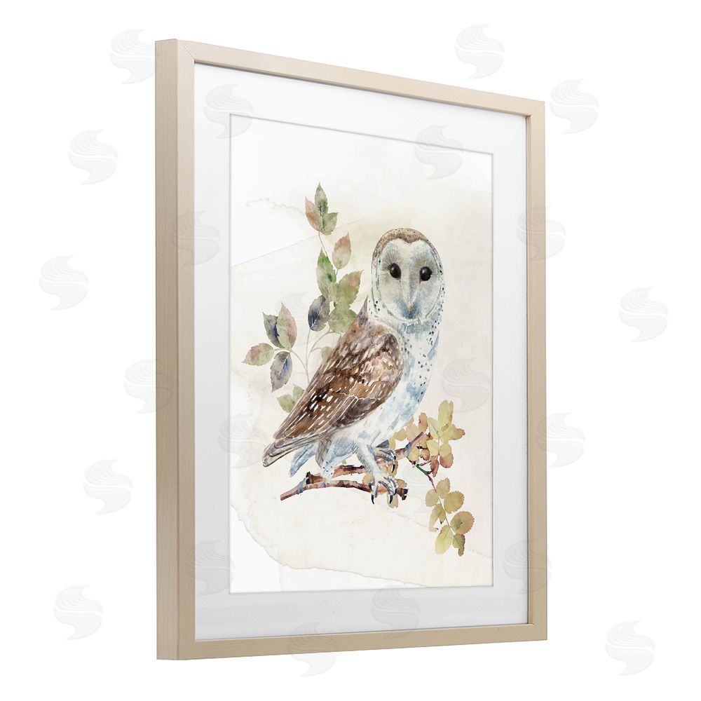 CAD Designs Owl Among Autumn Leaves Brown Framed Print Under Glass Wall Art